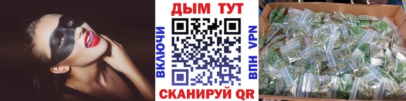 Где продают наркотики Балашов Галлюциногенные грибы  МЕФ  MEGA ТОР  Метадон  Бошки Шишки  ГАШИШ 