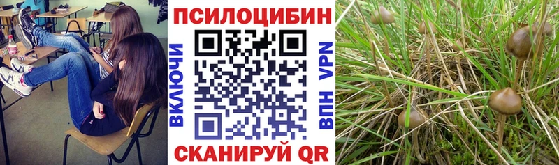 Галлюциногенные грибы ЛСД хочу наркоту Балашов